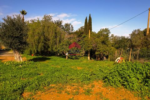 Villa i Olhao, Faro, Olhao - € 350.000 | Ref: 273260005 - foto 18