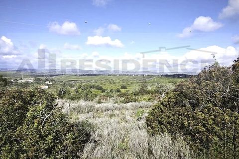 Ruinere i Tunes, Faro, Tunes - € 350.000 | Ref: RUI-12 - foto 6