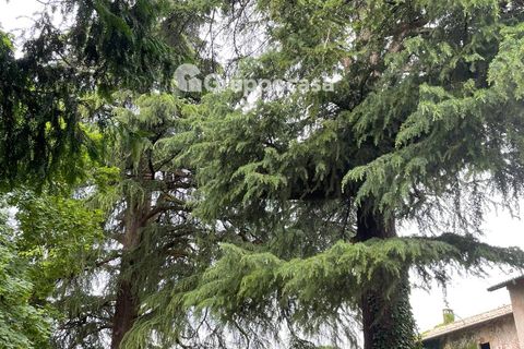 Villa a Mesero, Milan, Mesero - € 470.000 | Ref: Villa storica di prestigio via Roma Mesero - foto 19