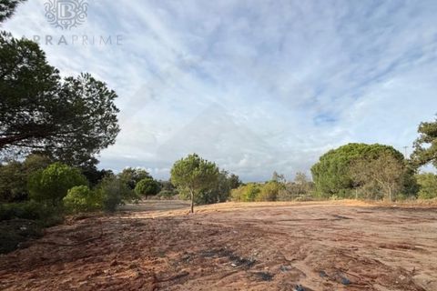 Helårsgrund i Almancil, Faro, Almancil - € 1.250.000 | Ref: 1496 - foto 12