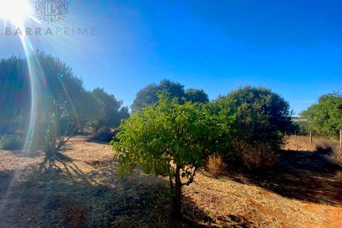 Helårsgrund i Almancil, Faro, Almancil - € 500.000 | Ref: 9296 - foto 8