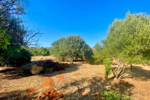 Helårsgrund i Almancil, Faro, Almancil - € 500.000 | Ref: 9296 - foto 10
