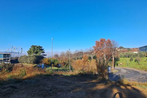 Villa i Reggello, Florence, Reggello - € 529.000 | Ref: 010 - 004 - villa fiorita - foto 14