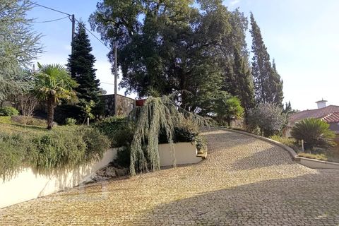 Villa i Barcelos, Braga, Barcelos - € 649.000 | Ref: 14/26 - foto 46