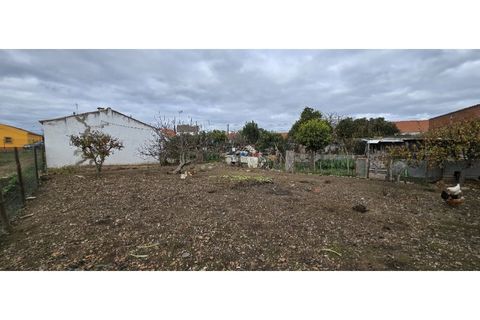 Helårsgrund i Ermidas do Sado, Setubal, Ermidas do Sado - € 249.000 | Ref: 26469A-MB - foto 29