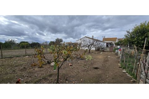 Helårsgrund i Ermidas do Sado, Setubal, Ermidas do Sado - € 249.000 | Ref: 26469A-MB - foto 30