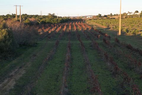 Helårsgrund i Algoz, Faro, Algoz - € 89.000 | Ref: SF-SAFTI:007674 - foto 9
