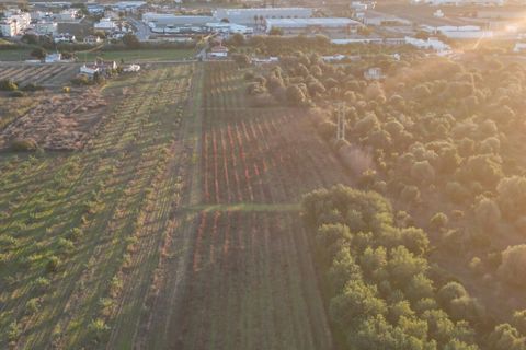 Helårsgrund i Algoz, Faro, Algoz - € 89.000 | Ref: SF-SAFTI:007674 - foto 10