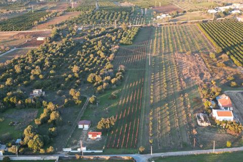 Helårsgrund i Algoz, Faro, Algoz - € 89.000 | Ref: SF-SAFTI:007674 - foto 2