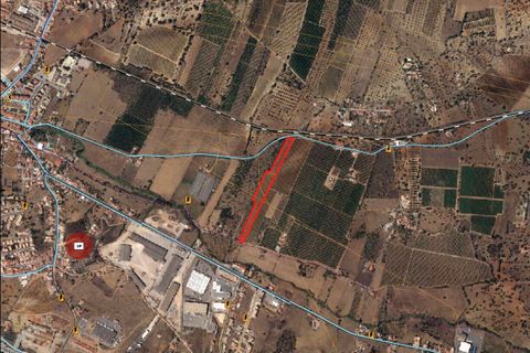 Helårsgrund i Algoz, Faro, Algoz - € 89.000 | Ref: SF-SAFTI:007674 - foto 15