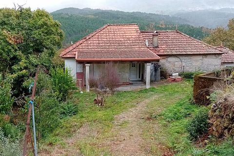 Farm i Moncao, Viana do Castelo, Moncao - € 132.000 | Ref: SF-SAFTI:007609 - foto 1