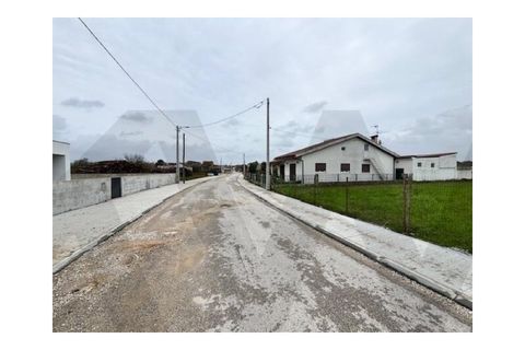 Helårsgrund i Anadia, Aveiro, Anadia - € 50.000 | Ref: KWPT-027435 - foto 5