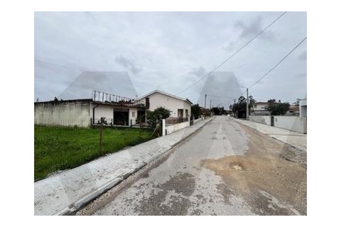 Helårsgrund i Anadia, Aveiro, Anadia - € 50.000 | Ref: KWPT-027435 - foto 6
