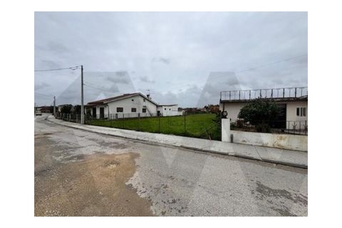 Helårsgrund i Anadia, Aveiro, Anadia - € 50.000 | Ref: KWPT-027435 - foto 8