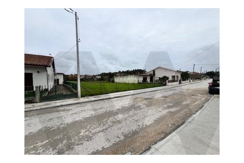 Helårsgrund i Anadia, Aveiro, Anadia - € 50.000 | Ref: KWPT-027435 - foto 9