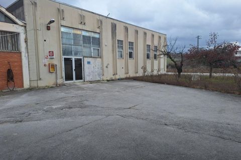 Erhvervsejendom i Matelica, Macerata, Matelica - € 1.233.450 | Ref: 2537838 - foto 3
