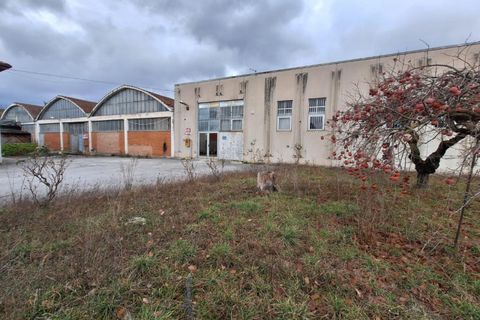 Erhvervsejendom i Matelica, Macerata, Matelica - € 1.233.450 | Ref: 2537838 - foto 4