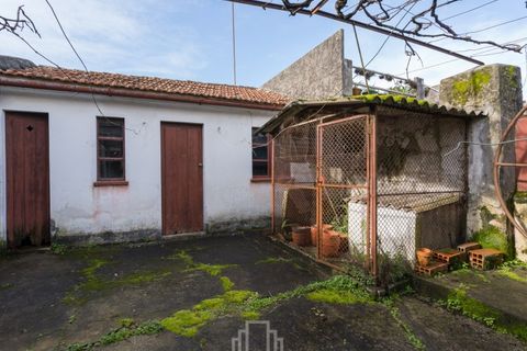 Landejendom i Ovar, Aveiro, Ovar - € 205.000 | Ref: 362-OVR - foto 16