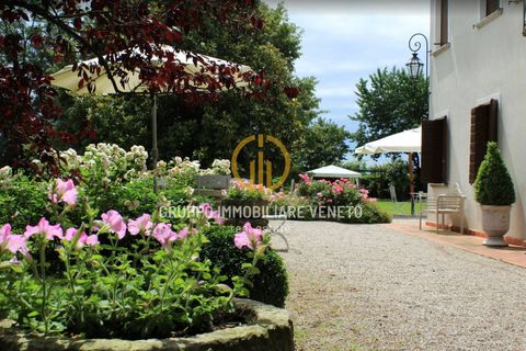 Erhvervsejendom i Treviso, Treviso, Treviso - € 2.500.000 | Ref: 130 - foto 7