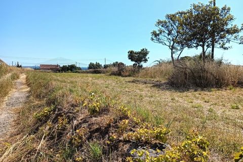 Helårsgrund i Estarreja, Aveiro, Estarreja - € 42.500 | Ref: AV24/063 - foto 3