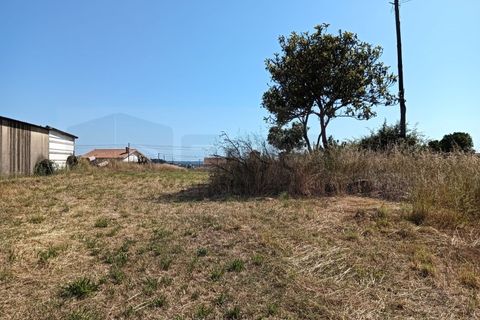Helårsgrund i Estarreja, Aveiro, Estarreja - € 42.500 | Ref: AV24/063 - foto 5