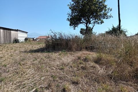 Helårsgrund i Estarreja, Aveiro, Estarreja - € 42.500 | Ref: AV24/063 - foto 7