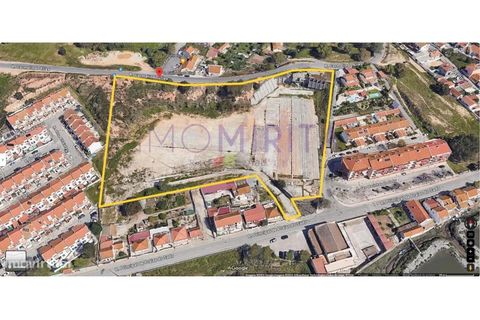 Helårsgrund i Ermidas do Sado, Setubal, Ermidas do Sado - € 587.000 | Ref: 06.26JO - foto 1