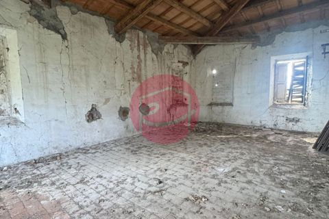 Villa a Gatteo, Forli-Cesena, Gatteo - € 115.000 | Ref: G-C1-118 - foto 4