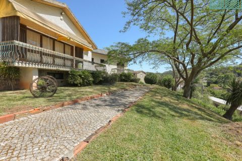 Villa i Agueda, Aveiro, Agueda - € 350.000 | Ref: CAS_2022 - foto 1