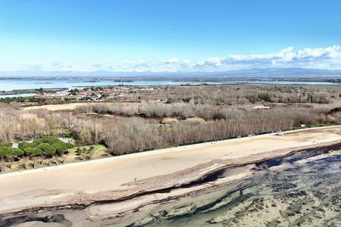 Terra a Grado, Gorizia, Grado - € 41.280.000 | Ref: 24173 - foto 2