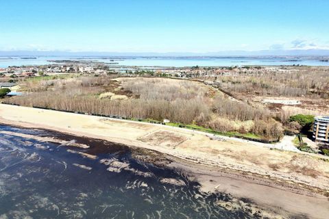 Terra a Grado, Gorizia, Grado - € 41.280.000 | Ref: 24173 - foto 3