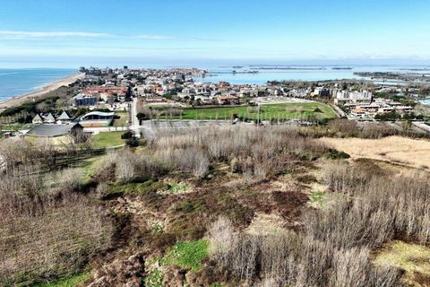 Terra a Grado, Gorizia, Grado - € 41.280.000 | Ref: 24173 - foto 4