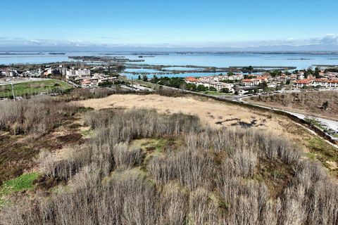 Terra a Grado, Gorizia, Grado - € 41.280.000 | Ref: 24173 - foto 5