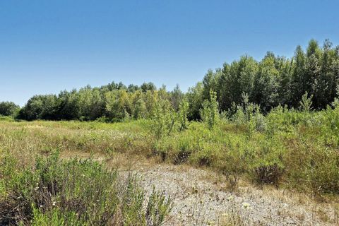 Terra a Grado, Gorizia, Grado - € 41.280.000 | Ref: 24173 - foto 6
