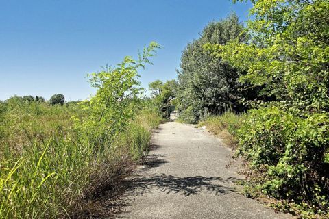 Terra a Grado, Gorizia, Grado - € 41.280.000 | Ref: 24173 - foto 7
