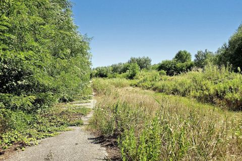 Terra a Grado, Gorizia, Grado - € 41.280.000 | Ref: 24173 - foto 8