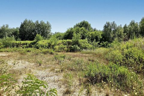Terra a Grado, Gorizia, Grado - € 41.280.000 | Ref: 24173 - foto 9