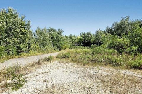 Terra a Grado, Gorizia, Grado - € 41.280.000 | Ref: 24173 - foto 11