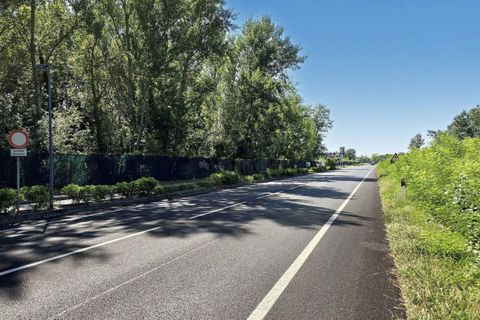 Terra a Grado, Gorizia, Grado - € 41.280.000 | Ref: 24173 - foto 14