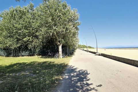 Terra a Grado, Gorizia, Grado - € 41.280.000 | Ref: 24173 - foto 15