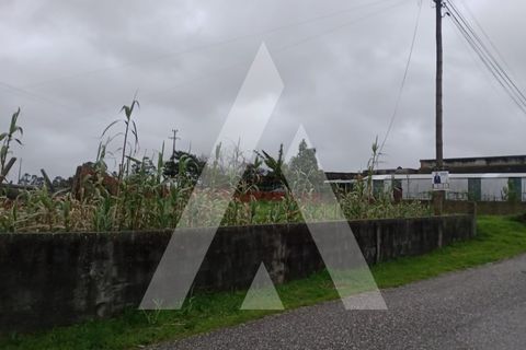 Helårsgrund i Vagos, Aveiro, Vagos - € 55.000 | Ref: 1021228/26 FR - foto 1