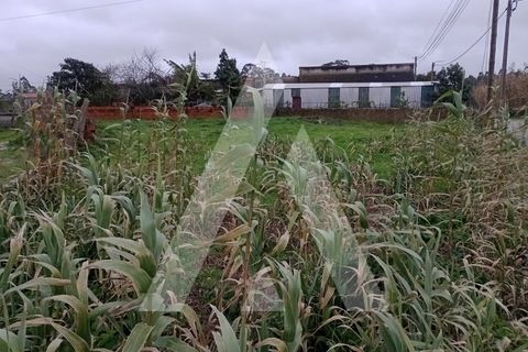 Helårsgrund i Vagos, Aveiro, Vagos - € 55.000 | Ref: 1021228/26 FR - foto 2