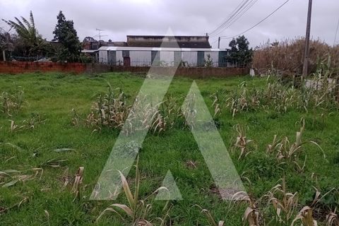 Helårsgrund i Vagos, Aveiro, Vagos - € 55.000 | Ref: 1021228/26 FR - foto 3