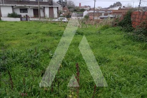 Helårsgrund i Vagos, Aveiro, Vagos - € 55.000 | Ref: 1021228/26 FR - foto 4