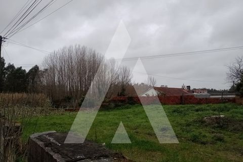 Helårsgrund i Vagos, Aveiro, Vagos - € 55.000 | Ref: 1021228/26 FR - foto 5