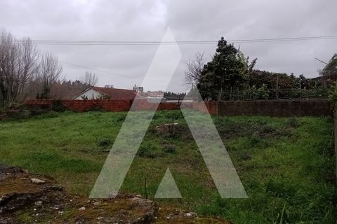 Helårsgrund i Vagos, Aveiro, Vagos - € 55.000 | Ref: 1021228/26 FR - foto 6