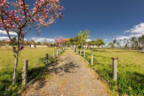 Villa i Vila Verde, Braga, Vila Verde - € 330.000 | Ref: ZMPT585185 - foto 3