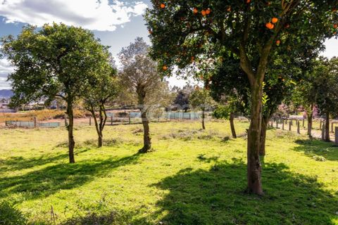 Villa i Vila Verde, Braga, Vila Verde - € 330.000 | Ref: ZMPT585185 - foto 4