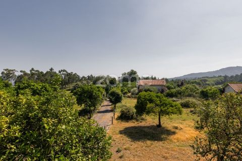 Villa i Vila Verde, Braga, Vila Verde - € 330.000 | Ref: ZMPT585185 - foto 45