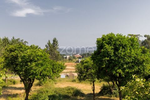 Villa i Vila Verde, Braga, Vila Verde - € 330.000 | Ref: ZMPT585185 - foto 46